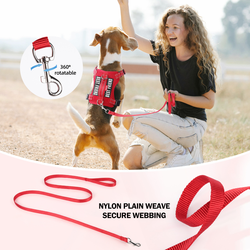 Wholesale Pet Supplier Breathable Dog Leash Harness