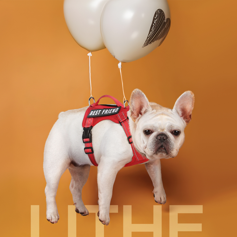 Wholesale Pet Supplier Breathable Dog Leash Harness