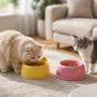 Wholesale Washable Indoor Outdoor Plastic Dog Cat Pet Bowls