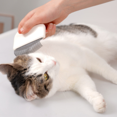 Manufacturer wholesale pink green white cat brush grooming comb
