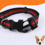 Manufacturer wholesale multi-colors adjustable nylon dog light reflection collar