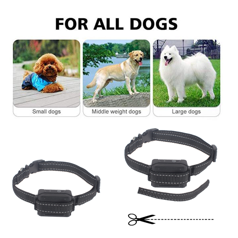 Wholesale manufacturer electric remote rechargeable adjustable vibration beep static shock pet dog training collar