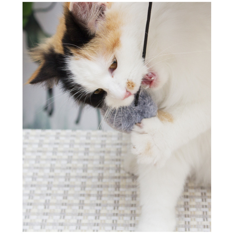 Luxury new luxurious cute cat toy scratcher