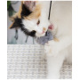 Luxury new luxurious cute cat toy scratcher