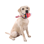Manufacturer wholesale christmas elk dog plush rope toys