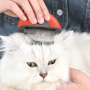 Manufacturer wholesale green purple orange blue cat round comb double sided