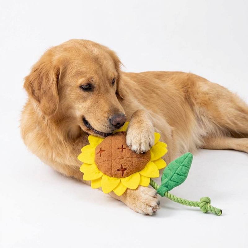 Wholesale Custom logo Plush Feed Chew Pet Product Dog Snuffling Toy