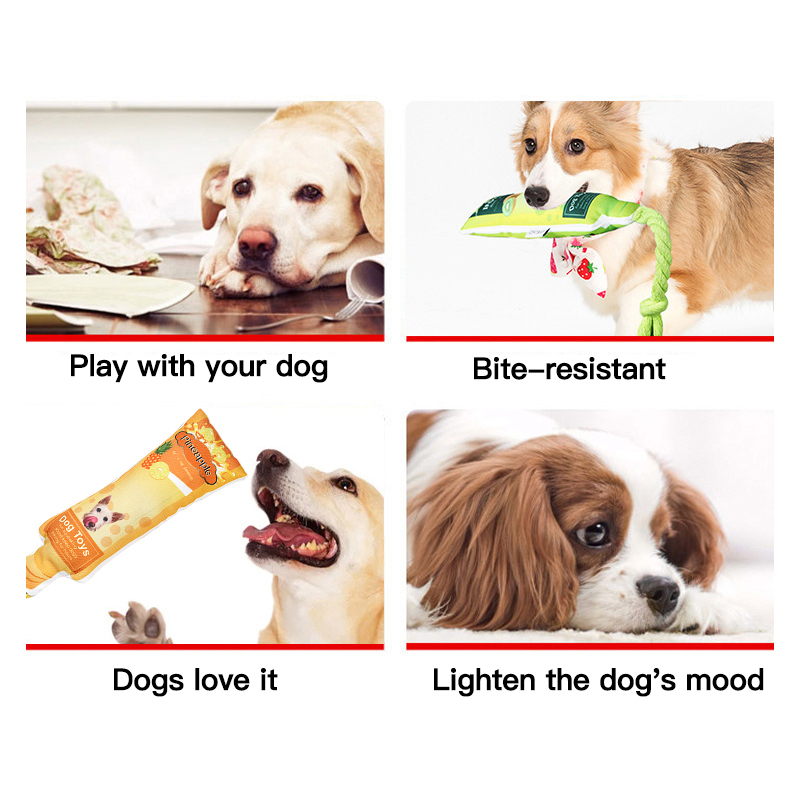 Manufacturer wholesale bite-resistant fruit design rope dog chewing toy