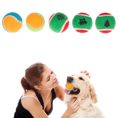 Manufacturer wholesale rubber custom logo thrower pet chew toys dog tennis ball