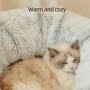 Manufacturer Wholesale Plush Foldable Collapsible Round Cat Tunnel