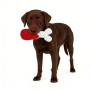 Wholesale Christmas Chew Pet Dog Rope Toy