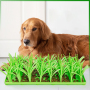 Manufacturer wholesale silicone slow feeder dog lick mat non-slip