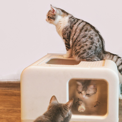 Wholesale manufacturer custom logo easy clean pp material plastic scoop included cat litter box