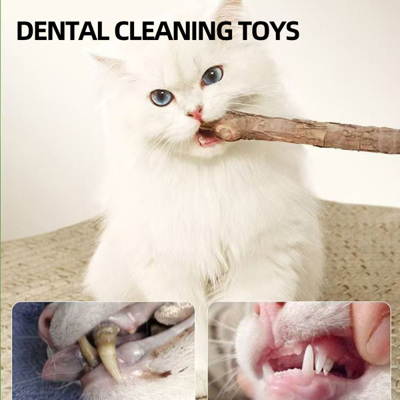 Manufacturer Wholesale New Insect Design Chew Clean Teeth Cat Sticks