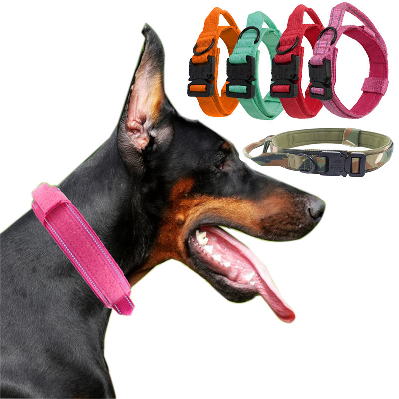 Manufacturer wholesale nylon camouflage dog collar medium large