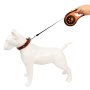 Manufacturer wholesale custom logo multi-colors 5M dog retractable leash
