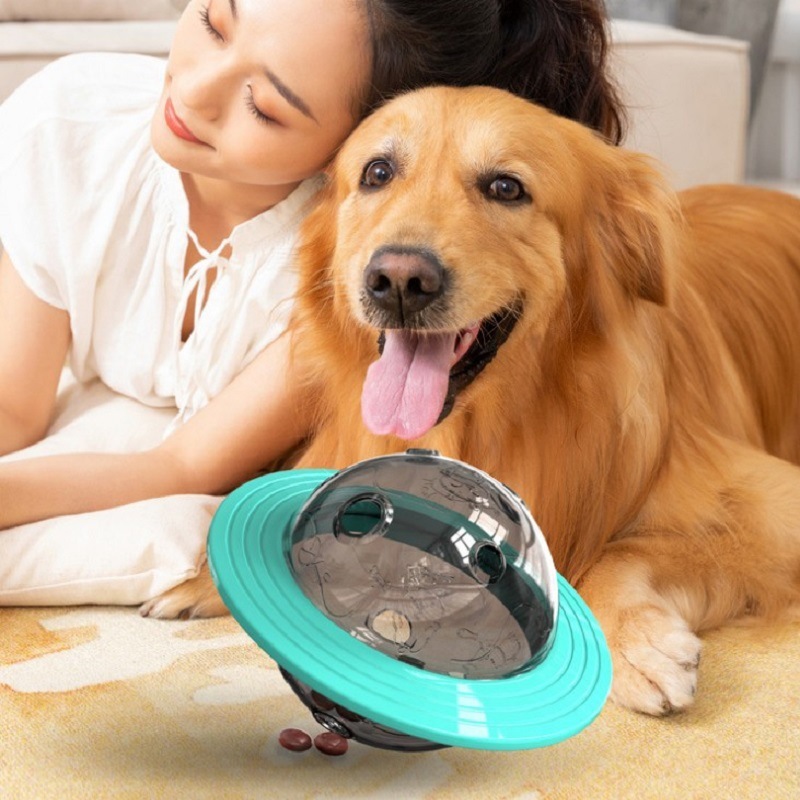 Manufacturer wholesale cat pet dog feeder toy