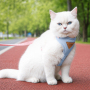 Wholesale Pet Product Supplier Breathable Mesh Leash Cat Harness Set