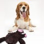 Manufacturer wholesale cute bear squeak soft dog PV plush toys