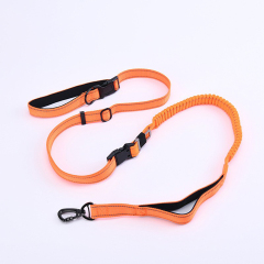 Manufacturer wholesale nylon adjustable 2 in 1 seat belt dog collar and leash set
