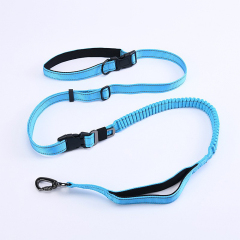 Manufacturer wholesale nylon adjustable 2 in 1 seat belt dog collar and leash set