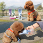 Manufacturer wholesale travel outdoor portable dog water bottle bone shape