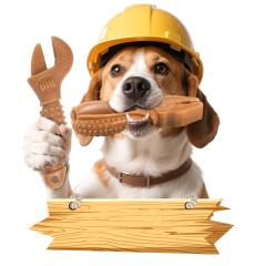 Manufacturer Wholesale Pet Product Clean Teeth Durable Dog Chew Toy
