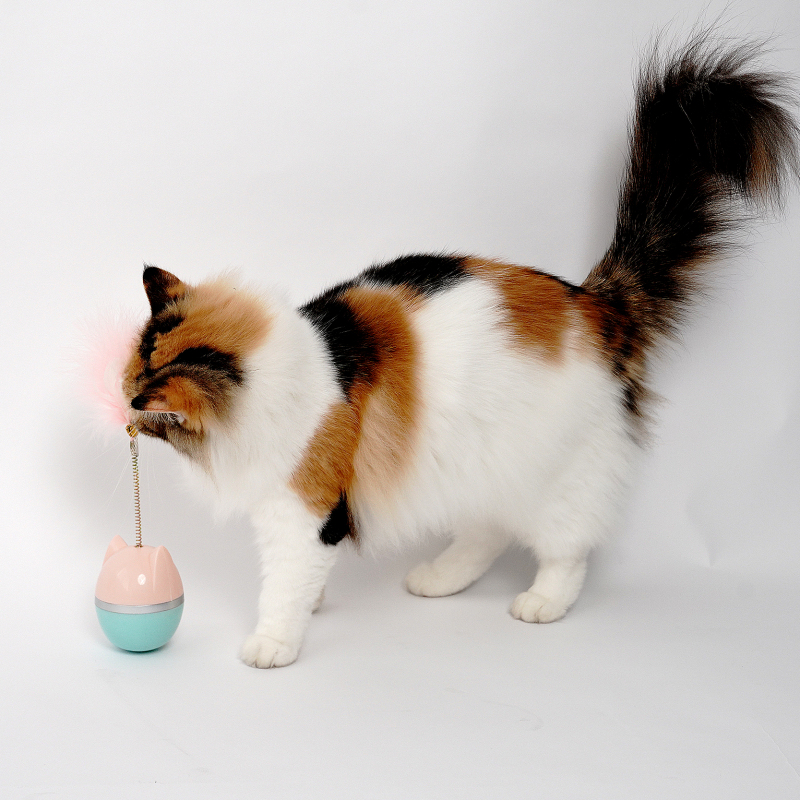 Manufacturer wholesale pink cat feather toys tumbler shape