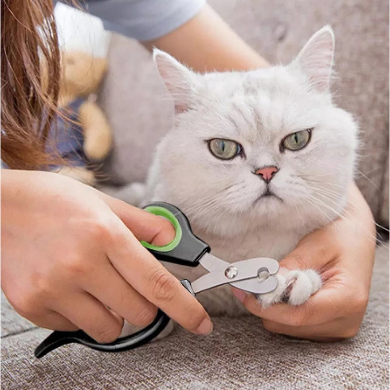 Manufacturer wholesale black dog cat nail clippers