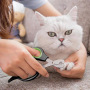 Manufacturer wholesale black dog cat nail clippers
