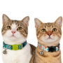 Manufacturer Wholesale Adjustable Cat Collar Custom