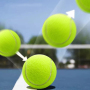Wholesale Custom Logo Rubber Dog Tennis Balls
