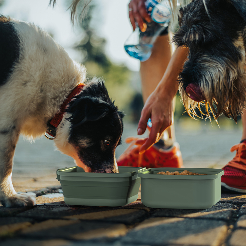 Manufacturer wholesale outdoor travel foldable collapsible dog two bowls