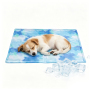 Wholesale Custom Logo Blue Pet Product Dog Cooling Pad