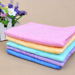 Manufacturer wholesale soft carrier portable cat pet dog quick-drying towel