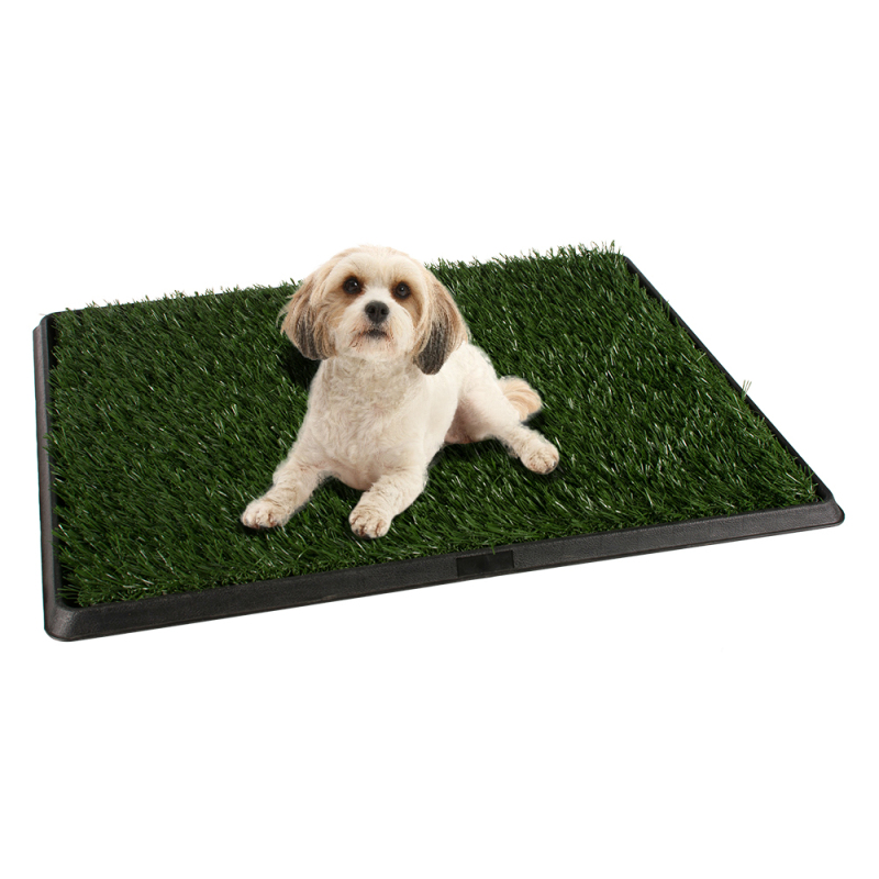 wholesale manufacturer plastic carrier trainer dog toilet tray puppy potty