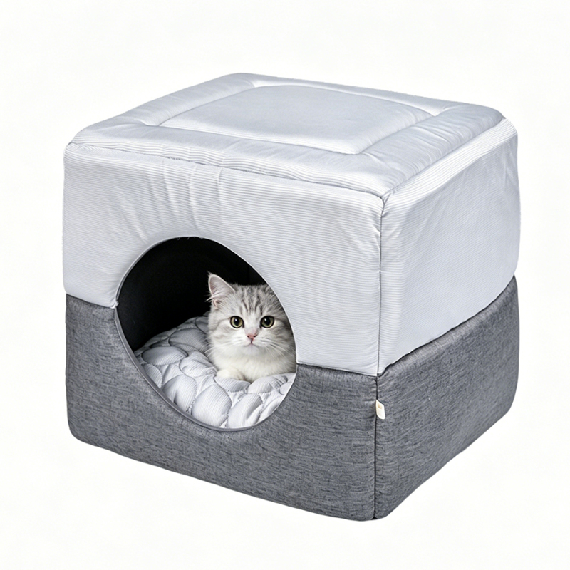Wholesale Custom Logo Anti-slip Indoor House Cat Product