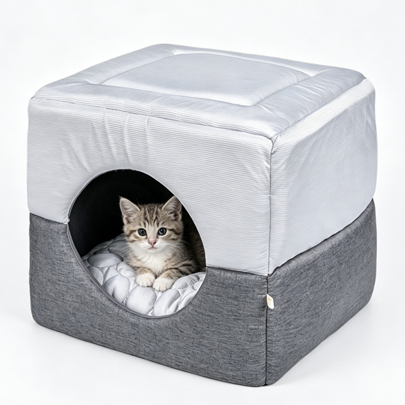 Wholesale Custom Logo Anti-slip Indoor House Cat Product