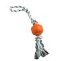 Manufacturer wholesale bite resistence chew dog rope tpr toys