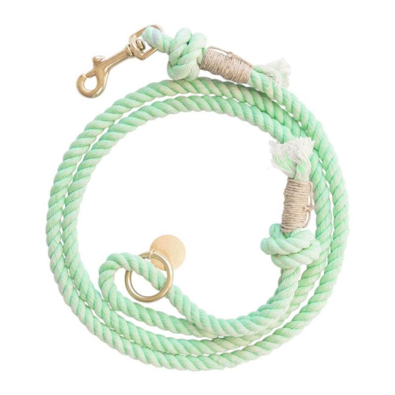 Manufacturer wholesale multi-colors thick rope leashes for pet dog outdoor use
