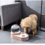 Manufacturer wholesale plastic pink blue dog water fountain with two bowls