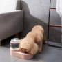 Manufacturer wholesale plastic pink blue dog water fountain with two bowls