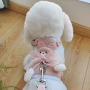 Wholesale Cute 1.2m 1.8m Leash Small Dog Cat Harness