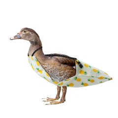 Wholesale Optional Styles Pet Diaper Adjustable Washable Pet Goose Chicken Duck Diaper Duckling Clothes