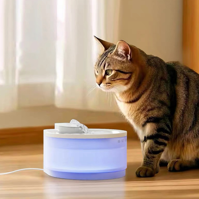 Wholesale New Automatic Charging Dog Pet Cat Water Fountain
