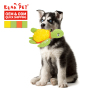Manufacturer Wholesale Tortoise Design Pet Product Durable TPR Plush Dog Chew Toy