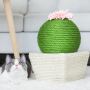 Manufacturer wholesale bite resistence rope flower cactus cat scratcher ball toy
