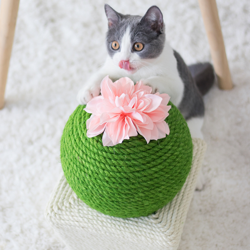 Manufacturer wholesale bite resistence rope flower cactus cat scratcher ball toy