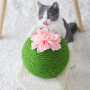 Manufacturer wholesale bite resistence rope flower cactus cat scratcher ball toy