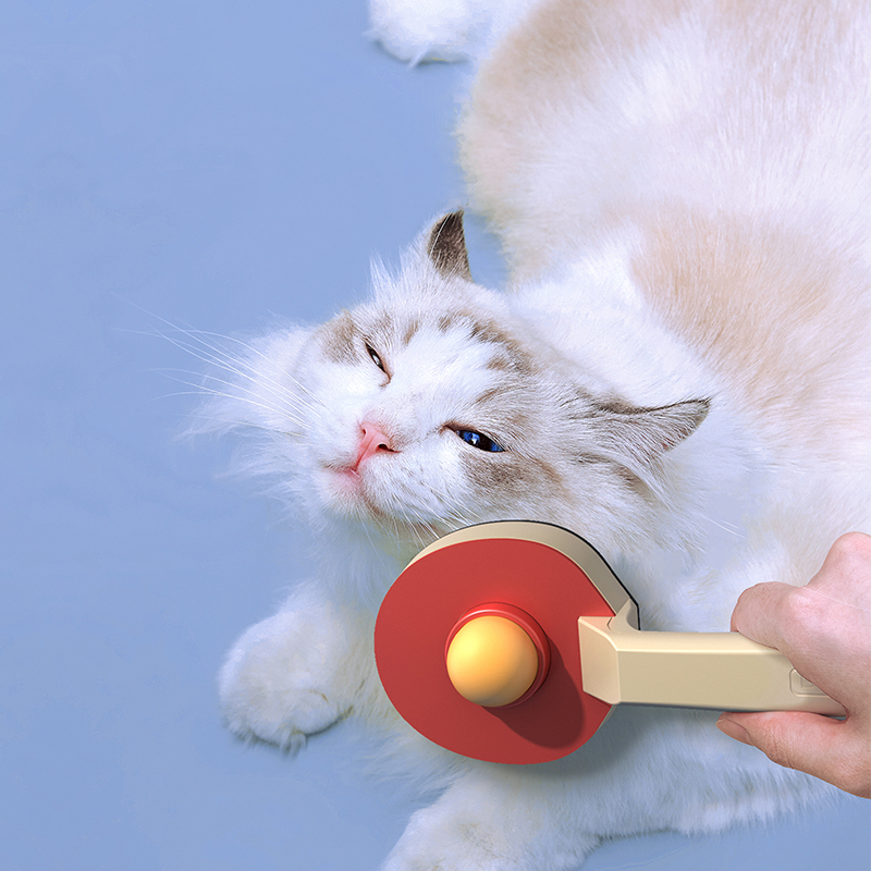 Manufacturer wholesale remove hair dog brush pingpong bat design